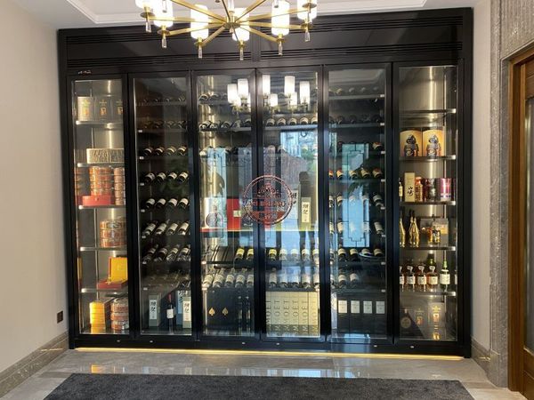 广州越秀区不锈钢恒温酒柜一体机案例
